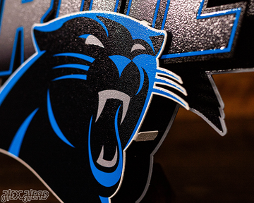 Carolina Panthers - Hex Head EXCLUSIVE "PANTHERS PRIDE" Wordmark 3D Metal Wall Art