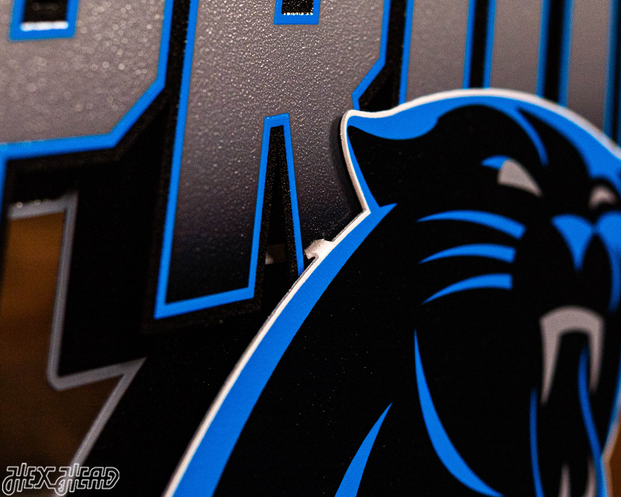Carolina Panthers - Hex Head EXCLUSIVE "PANTHERS PRIDE" Wordmark 3D Metal Wall Art