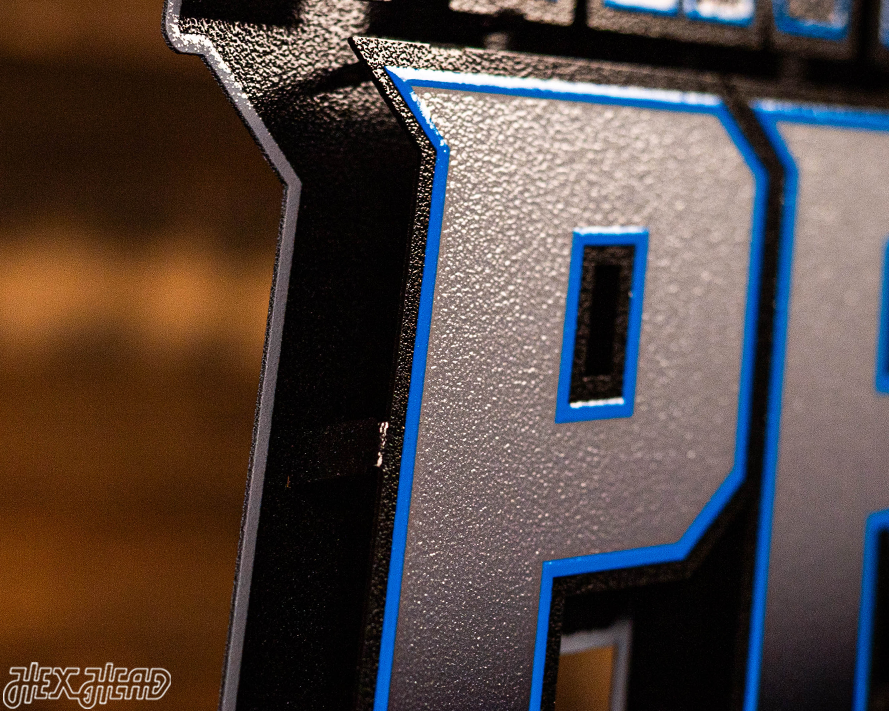 Carolina Panthers - Hex Head EXCLUSIVE "PANTHERS PRIDE" Wordmark 3D Metal Wall Art