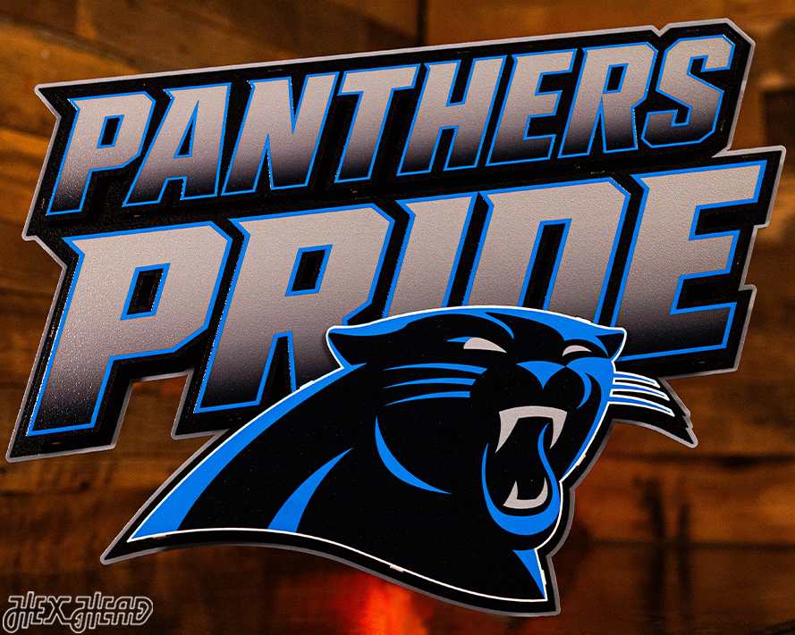 Carolina Panthers - Hex Head EXCLUSIVE "PANTHERS PRIDE" Wordmark 3D Metal Wall Art