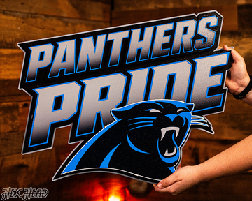 Carolina Panthers - Hex Head EXCLUSIVE "PANTHERS PRIDE" Wordmark 3D Metal Wall Art