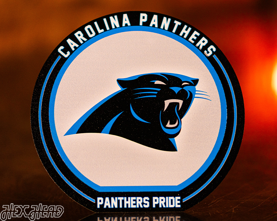 Carolina Panthers "Double Play" On the Shelf or on the Wall Art