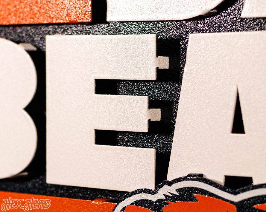 Chicago Bears - Hex Head EXCLUSIVE "Da-Bears" Wordmark 3D Metal Wall Art