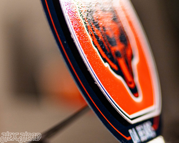 Chicago Bears "Double Play" On the Shelf or on the Wall Art