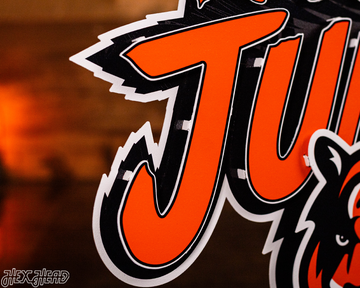 Cincinnati Bengals - Hex Head EXCLUSIVE "Rule The Jungle" Wordmark 3D Metal Wall Art