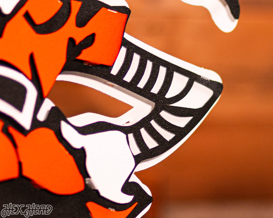 Cleveland Browns "Brownie" 3D Vintage Metal Wall Art