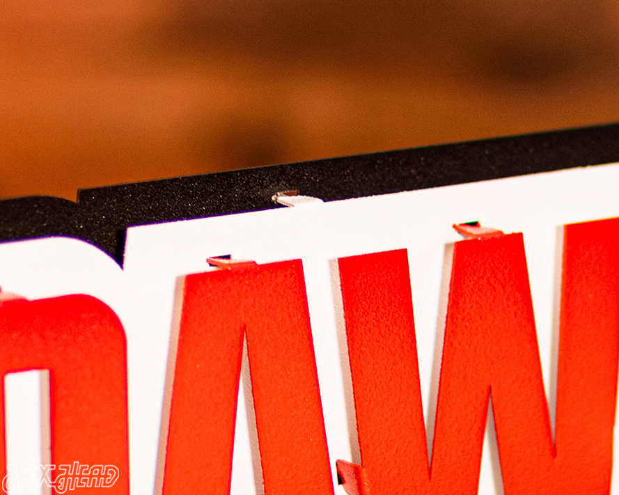 Cleveland Browns "DAWG POUND" 3D Vintage Metal Wall Art