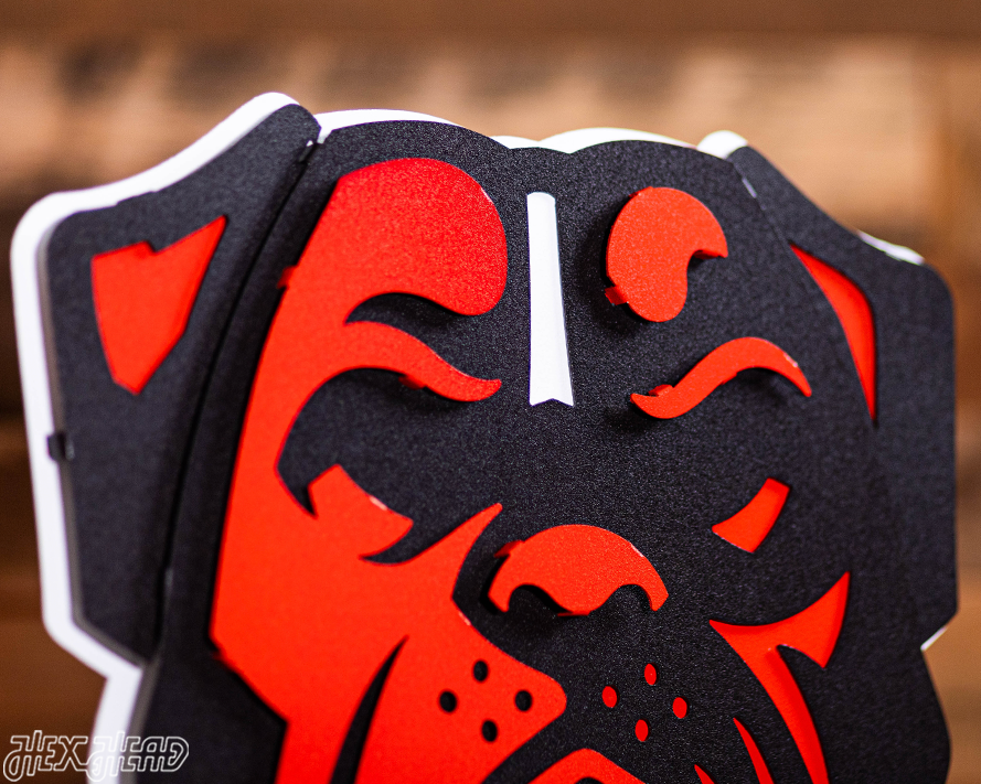 Cleveland Browns Bulldog Head 3D Metal Wall Art