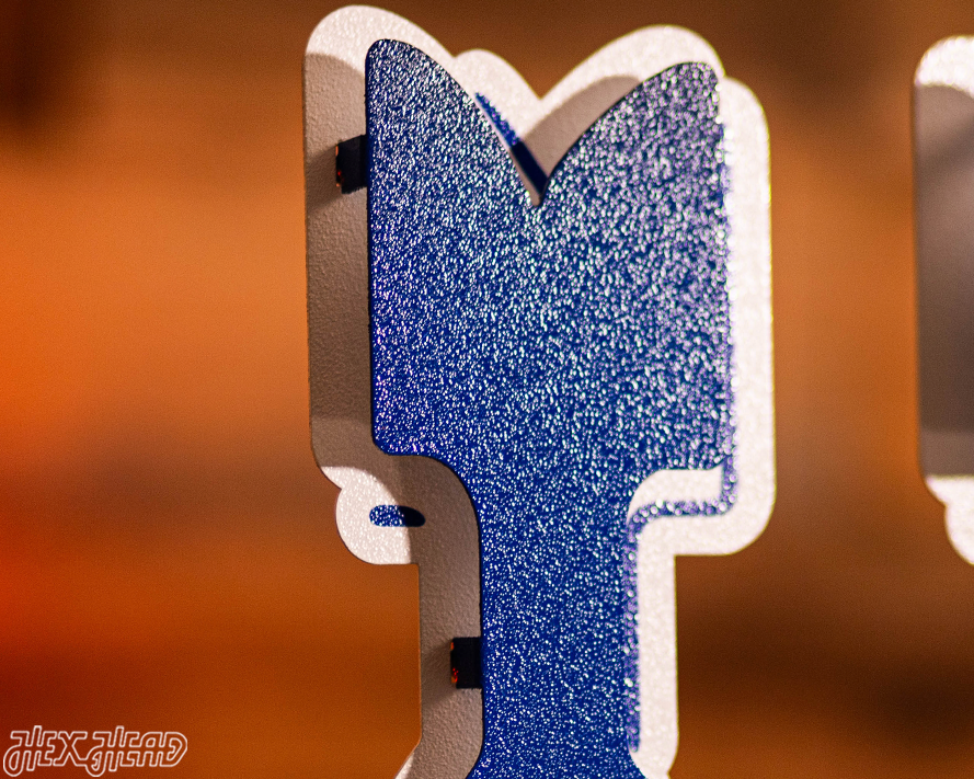 Detroit Lions "1989" Wordmark 3D Vintage Metal Wall Art