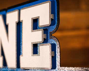 Detroit Lions - Hex Head EXCLUSIVE "One Pride" Wordmark 3D Metal Wall Art