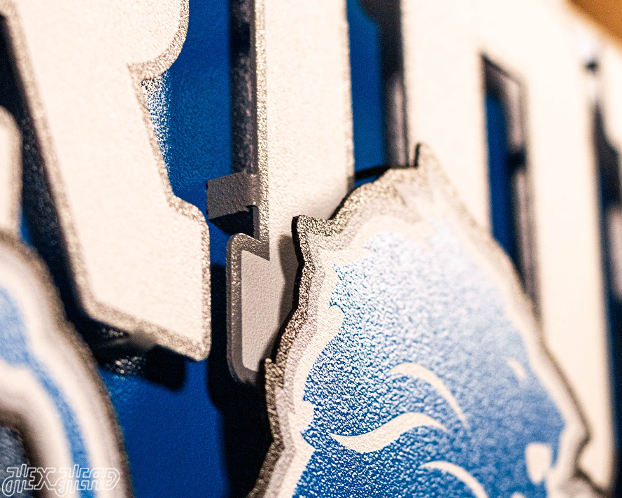 Detroit Lions - Hex Head EXCLUSIVE "One Pride" Wordmark 3D Metal Wall Art