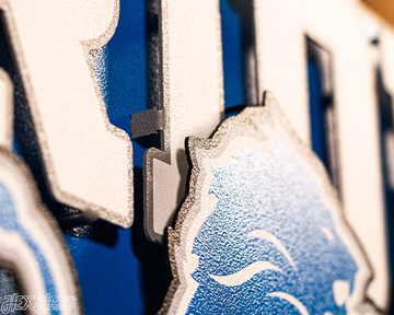 Detroit Lions - Hex Head EXCLUSIVE "One Pride" Wordmark 3D Metal Wall Art