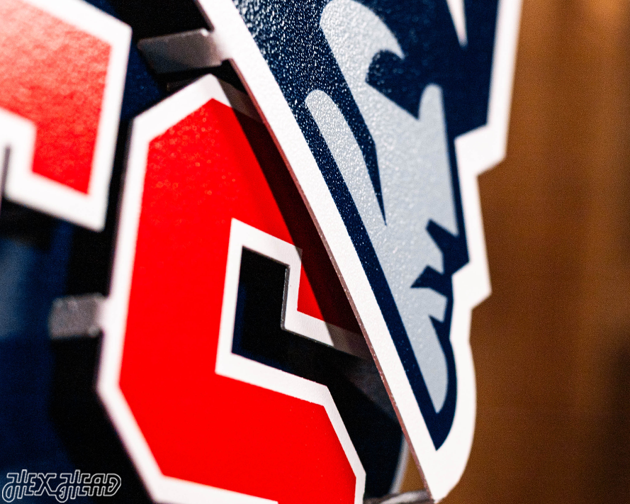 New England Patriots - Hex Head EXCLUSIVE "Go Pats" Wordmark 3D Metal Wall Art