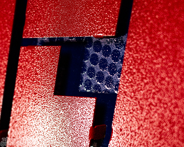 New York Giants - Hex Head EXCLUSIVE "G-Men" Wordmark 3D Metal Wall Art
