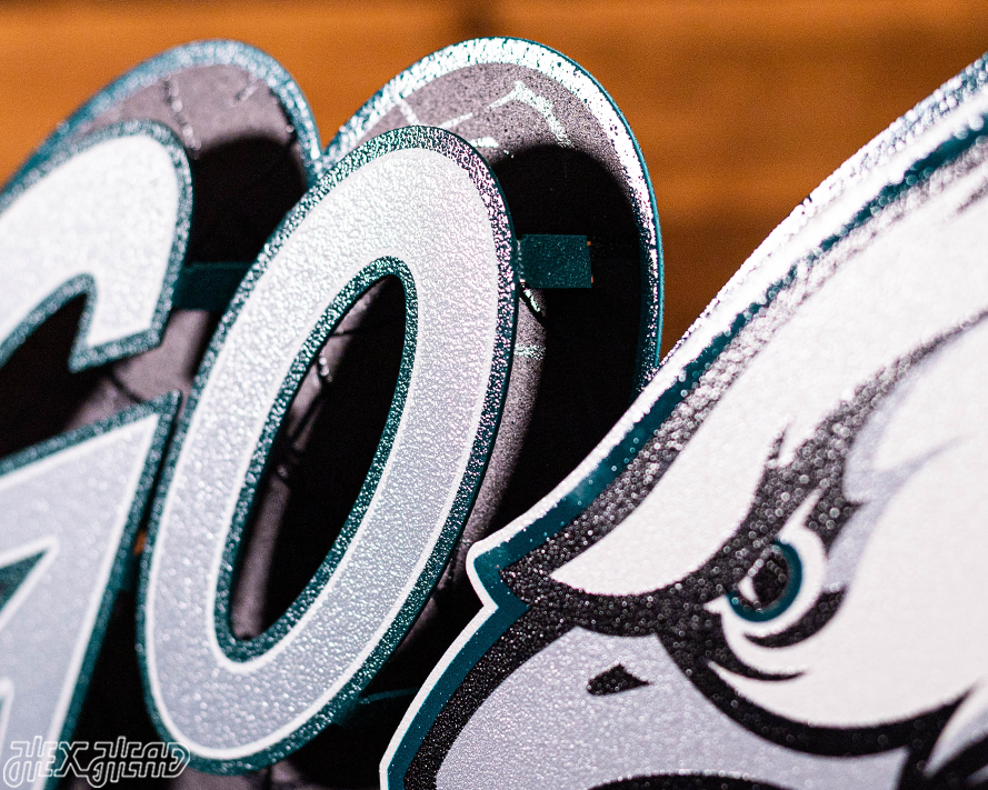 Philadelphia Eagles - Hex Head EXCLUSIVE "Go Birds" Wordmark 3D Metal Wall Art