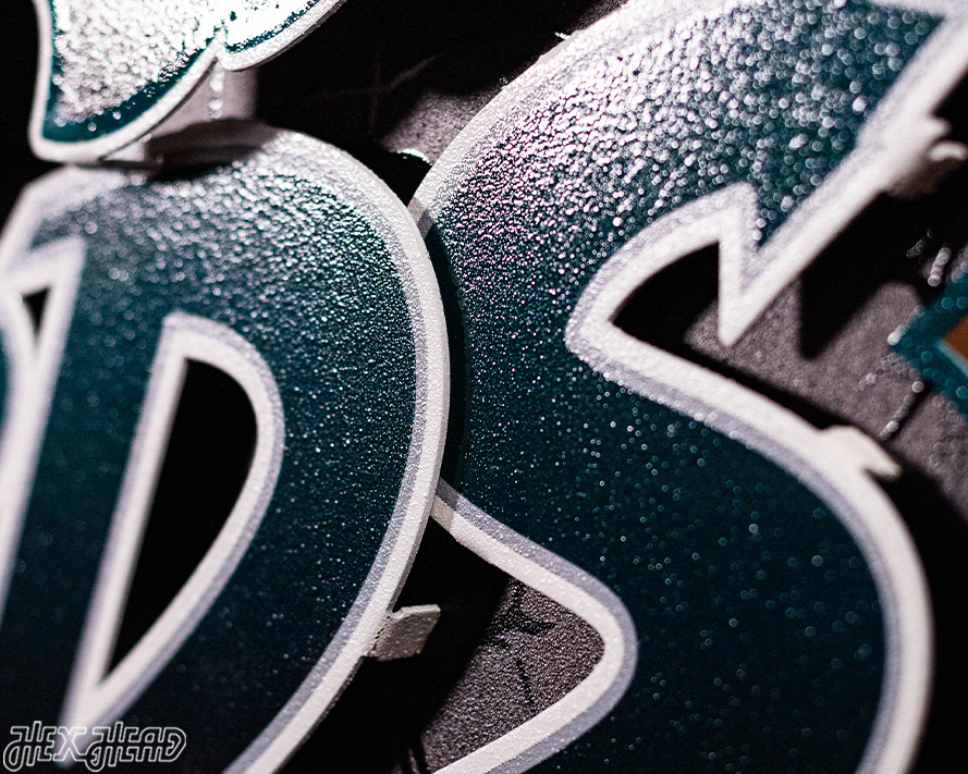 Philadelphia Eagles - Hex Head EXCLUSIVE "Go Birds" Wordmark 3D Metal Wall Art