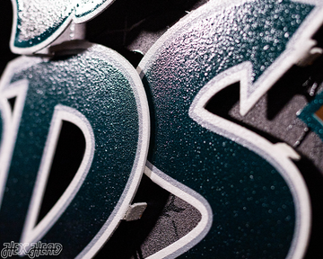 Philadelphia Eagles - Hex Head EXCLUSIVE "Go Birds" Wordmark 3D Metal Wall Art