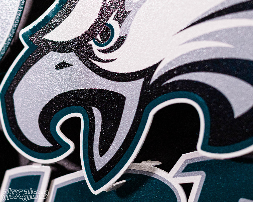 Philadelphia Eagles - Hex Head EXCLUSIVE "Go Birds" Wordmark 3D Metal Wall Art