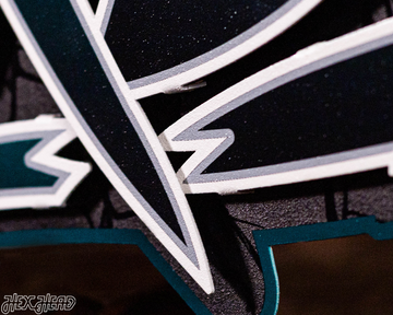 Philadelphia Eagles - Hex Head EXCLUSIVE "Go Birds" Wordmark 3D Metal Wall Art
