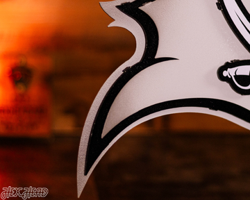 MONOCHROME - Tampa Bay Buccaneers "Buc's Jolly Roger Flag" 3D Vintage Metal Wall Art
