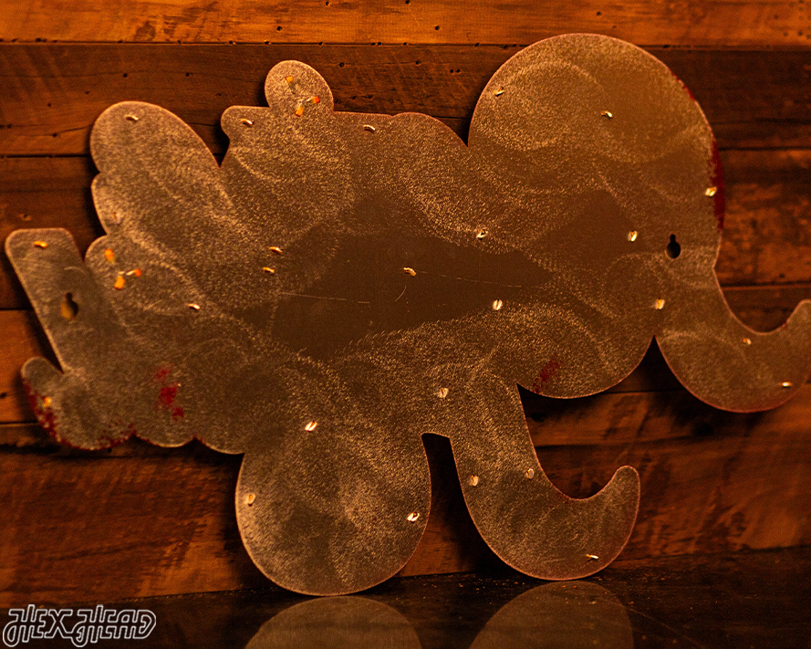 Washington Commanders Raise Hail 3D Vintage Metal Wall Art