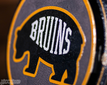 Boston Bruins "Double Play" On the Shelf or on the Wall Art