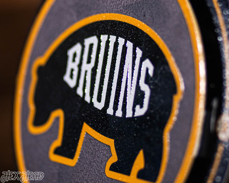 Boston Bruins "Double Play" On the Shelf or on the Wall Art