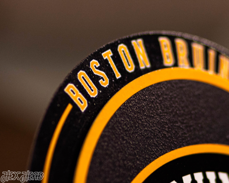 Boston Bruins "Double Play" On the Shelf or on the Wall Art