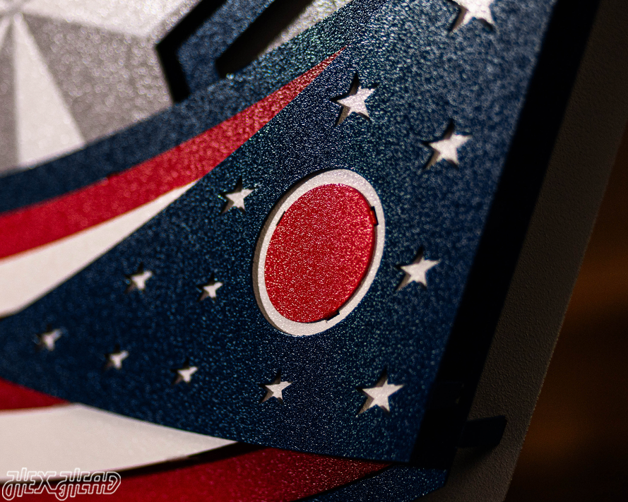 Columbus Blue Jackets NHL 3D Vintage Metal Wall Art