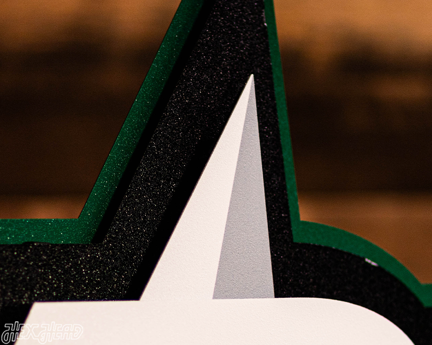Dallas Stars NHL 3D Vintage Metal Wall Art