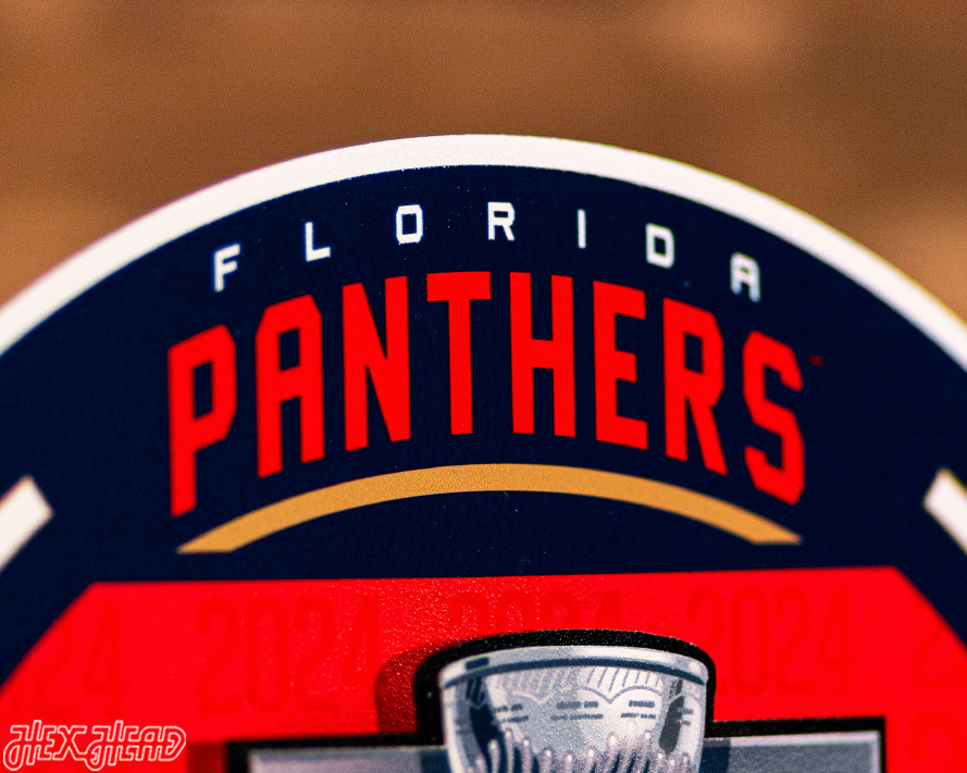 Florida Panthers Back to Back 2025 Stanley Cup Champions 3D Metal Wall Art