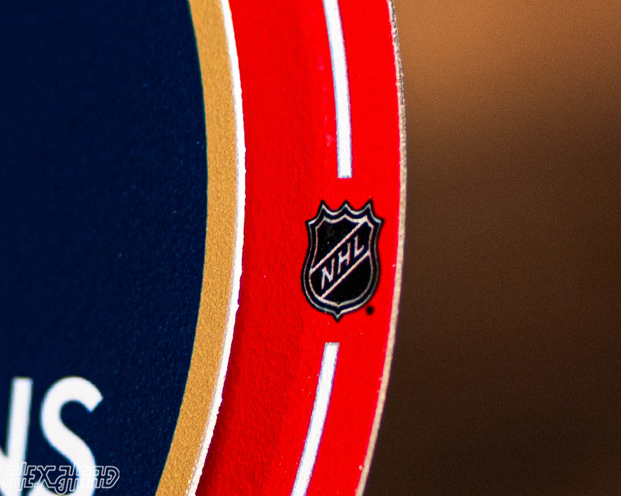 8" Florida Panthers 2025 Stanley Cup Champions "Double Play" On the Shelf or on the Wall Art