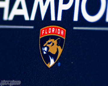 8" Florida Panthers 2025 Stanley Cup Champions "Double Play" On the Shelf or on the Wall Art