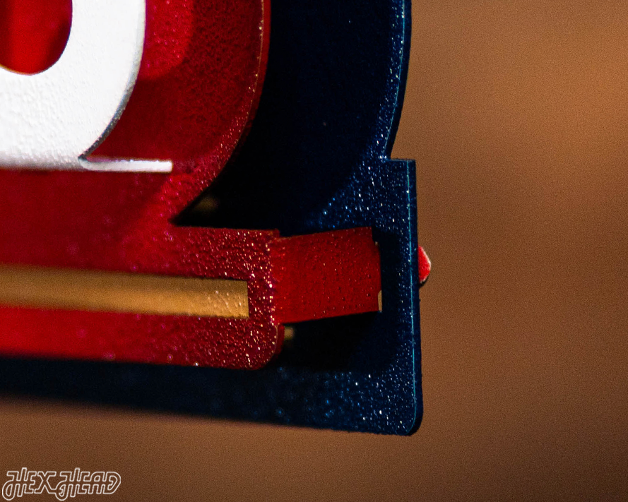 Florida Panthers OFFICIAL 2025 Stanley Cup Champion 3D Metal Wall Art