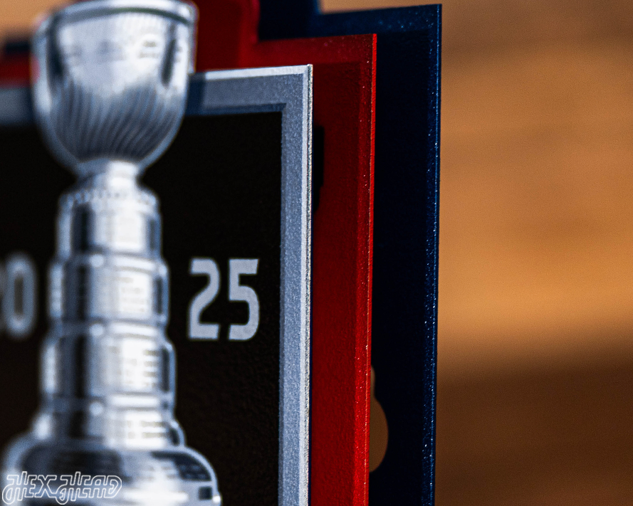 Florida Panthers OFFICIAL 2025 Stanley Cup Champion 3D Metal Wall Art