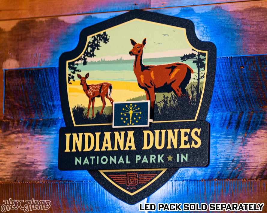 Indiana Dunes National Park Badge 3D Metal Wall Art