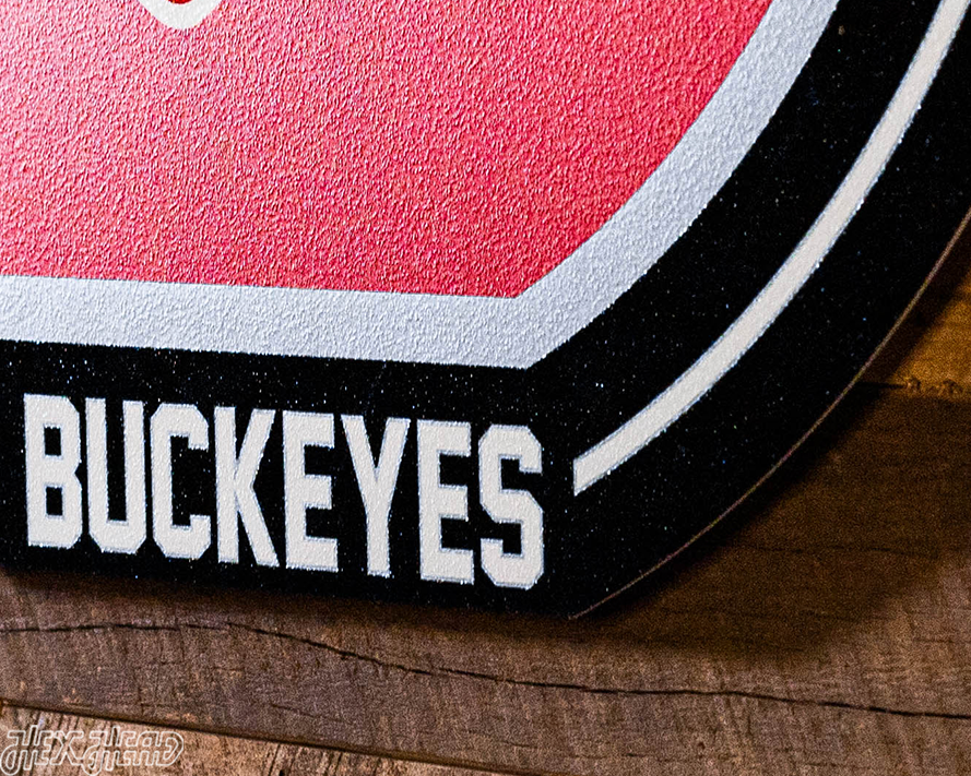 VARSITY Collection - Ohio State Buckeyes 2024 National Champions SINGLE Layer Wall Art