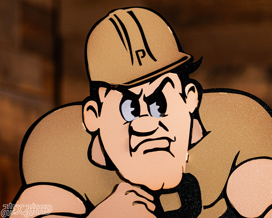 Purdue "Pete" 3D Vintage Metal Wall Art