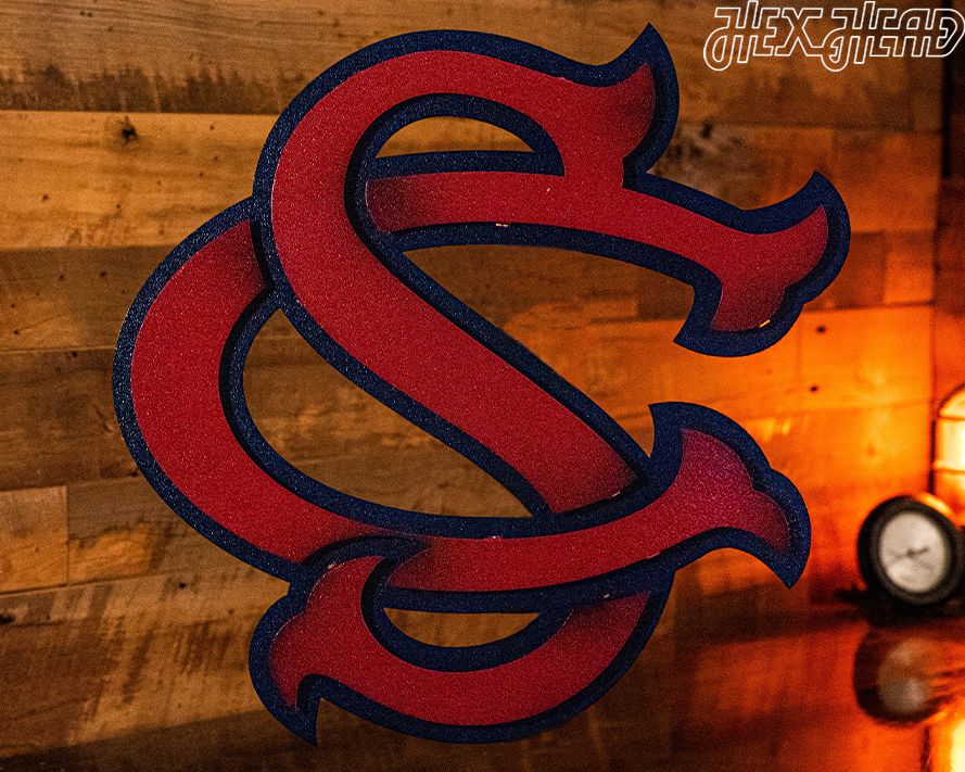 South Carolina Baseball Logo 3D Vintage Metal Wall Art