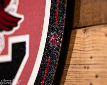 VARSITY Collection- SINGLE Layer South Carolina Gamecocks Metal Wall Art