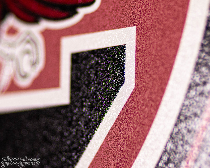 VARSITY Collection- SINGLE Layer South Carolina Gamecocks Metal Wall Art
