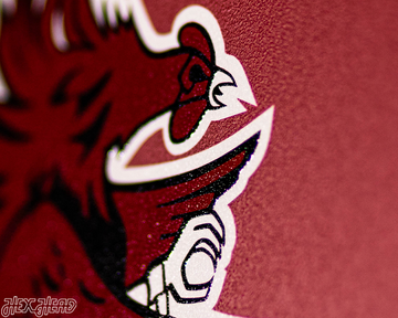 VARSITY Collection- SINGLE Layer South Carolina Gamecocks Metal Wall Art