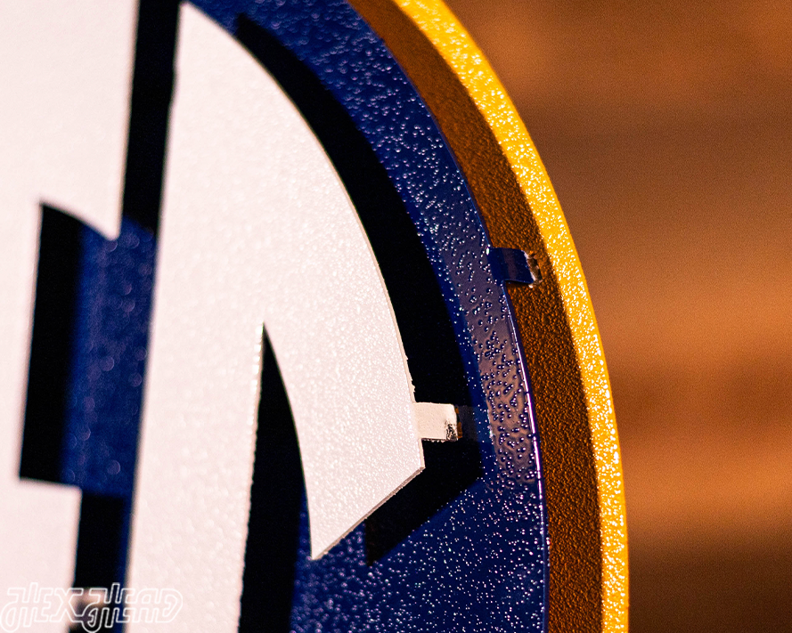 Southeastern Conference "SEC" Logo  3D Vintage Metal Wall Art