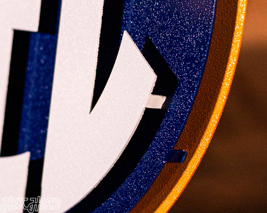 Southeastern Conference "SEC" Logo  3D Vintage Metal Wall Art