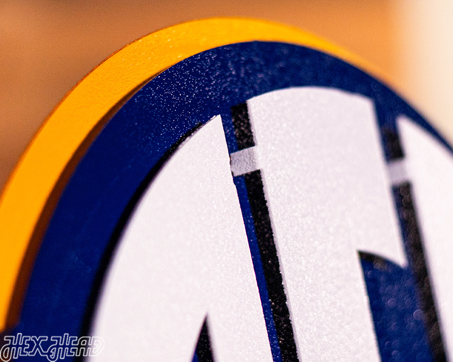 Southeastern Conference "SEC" Logo  3D Vintage Metal Wall Art