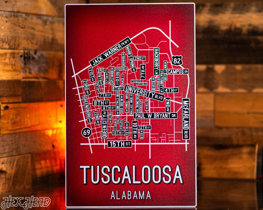 Tuscaloosa, Alabama School Street Poster Single Layer Metal Wall Art