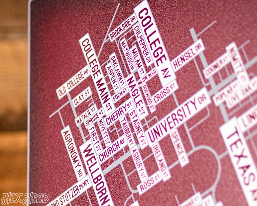 College Station, Texas School Street Poster Single Layer Metal Wall Art