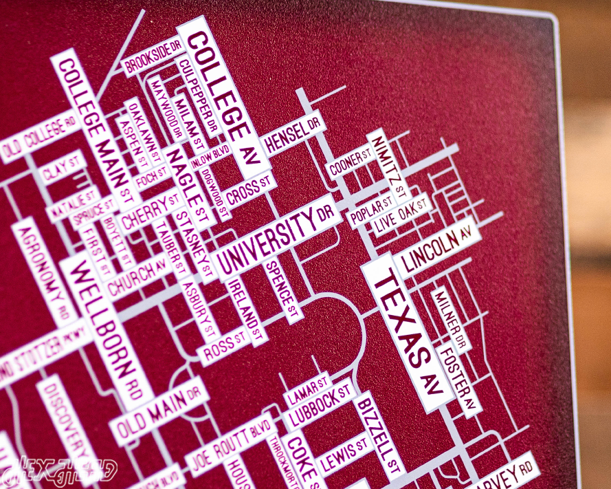 College Station, Texas School Street Poster Single Layer Metal Wall Art