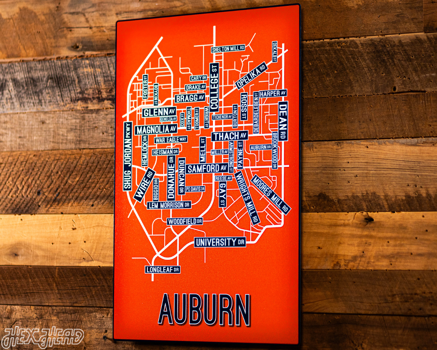 Auburn School Street Poster Single Layer Metal Wall Art