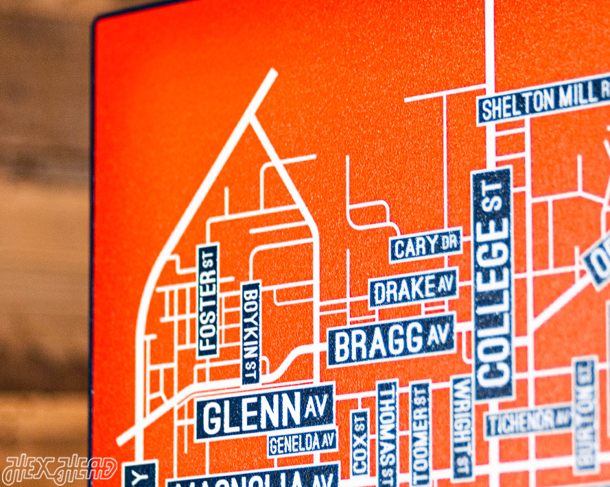 Auburn School Street Poster Single Layer Metal Wall Art